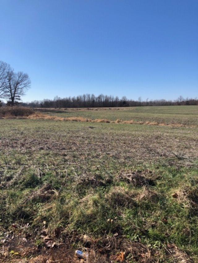 820 Morrison Road, Whiteville, TN 38075 - photo 2