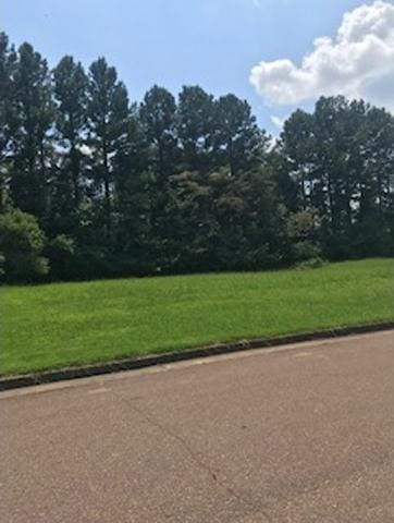7536 Tagg Drive, Germantown, TN 38138