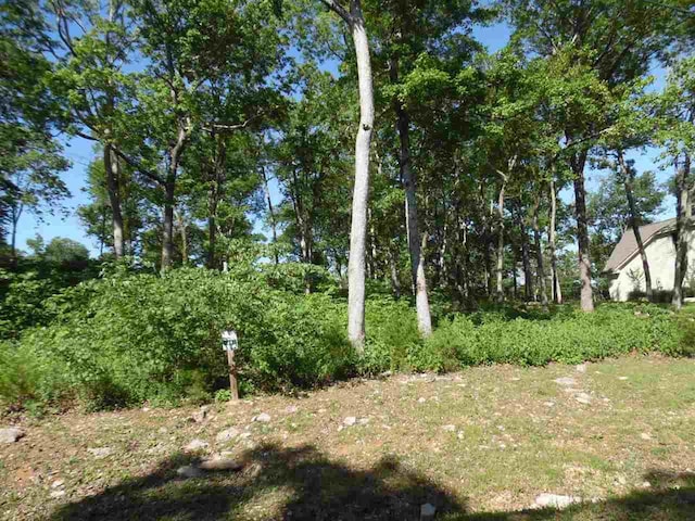 0 Adam Loop, Bath Springs TN, 38311 land for sale