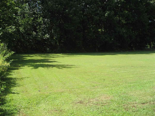 14 Towboat Lane, Adamsville, TN 38310 - photo 1