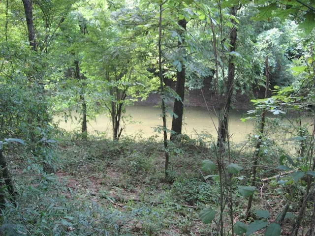 14 Towboat Lane, Adamsville, TN 38310 - photo 2