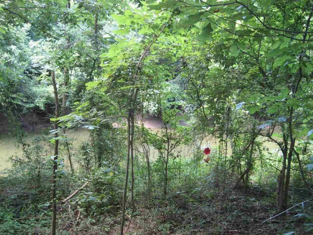 14 Towboat Lane, Adamsville, TN 38310 - photo 3