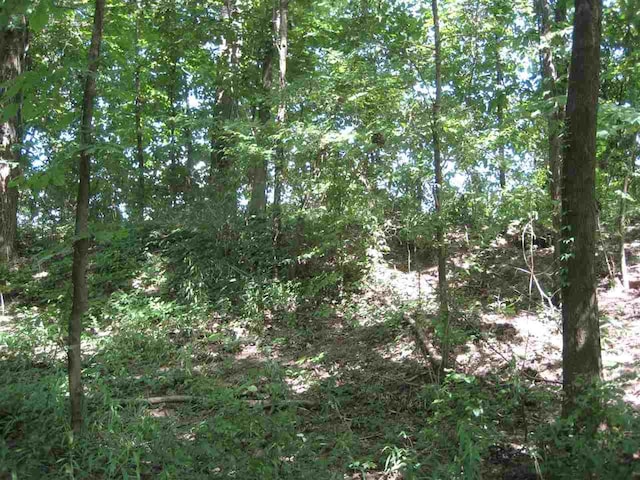14 Towboat Lane, Adamsville, TN 38310 - photo 6