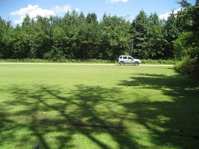 14 Towboat Lane, Adamsville, TN 38310 - photo 8