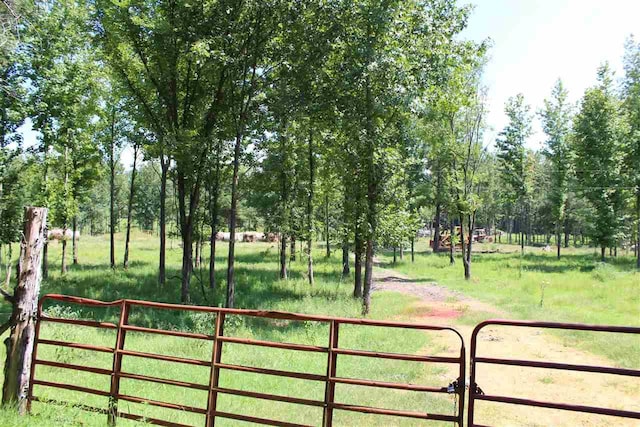 160 Freedom Farm Drive, Mason, TN 38049 - photo 10