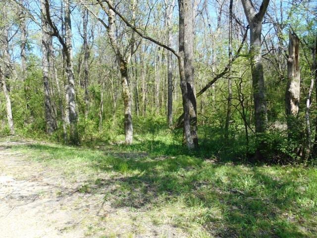 0 Pleasant Ridge Road, Millington, TN 38053 - photo 2