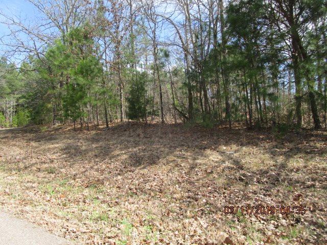 Listing photo 3 for Circlehill Drive, Selmer TN 38375