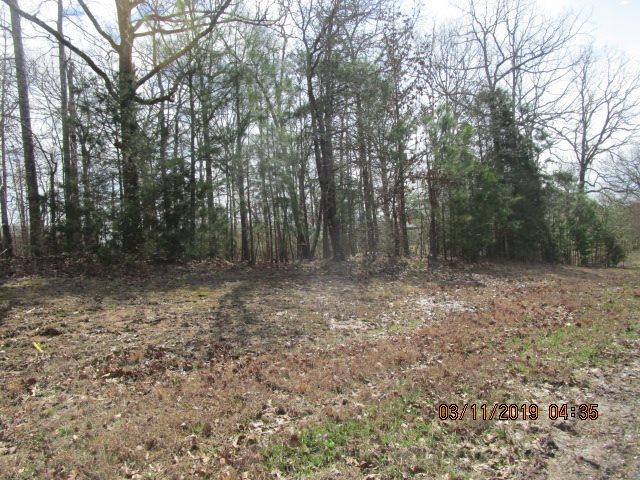 Circlehill Drive, Selmer, TN 38375