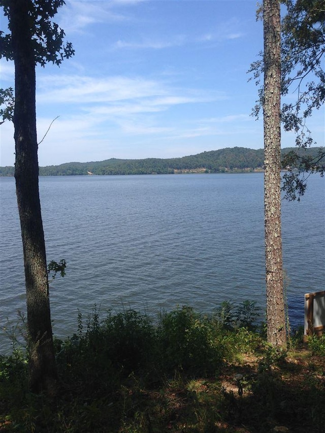 540 Buchanan Peninsula Drive, Pickwick Lake, AL 35616 - photo 5