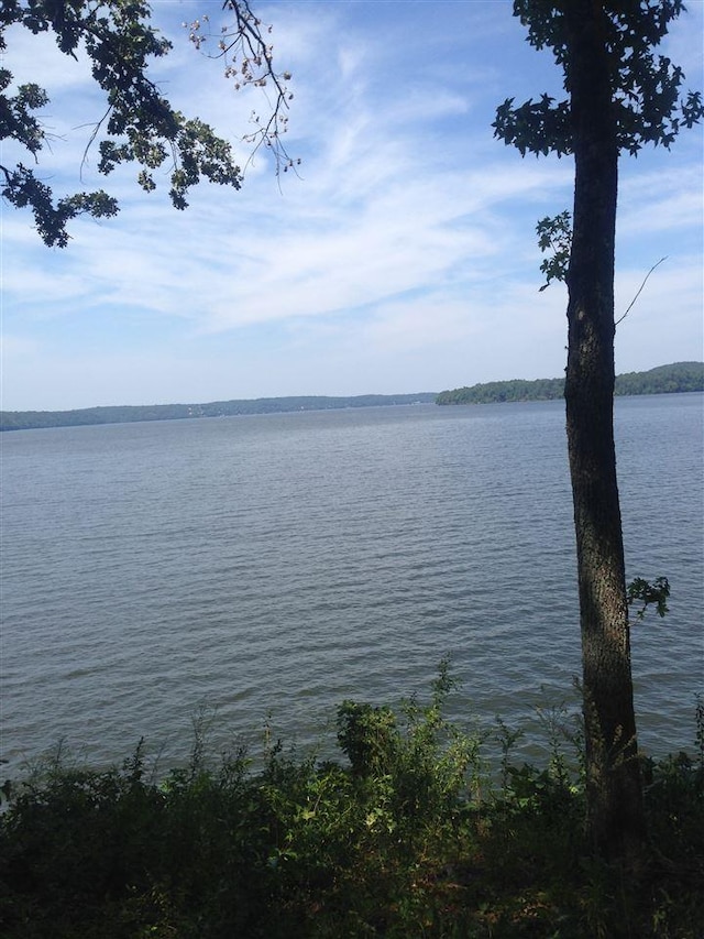 540 Buchanan Peninsula Drive, Pickwick Lake, AL 35616 - photo 6