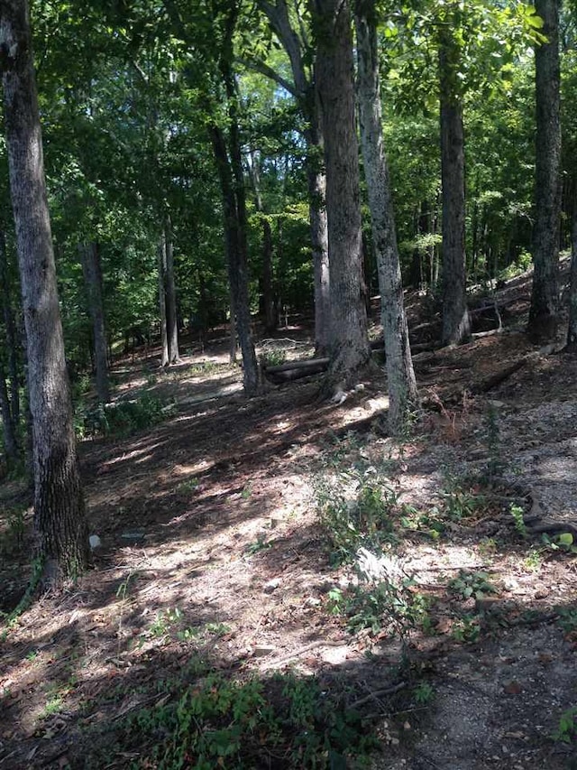 540 Buchanan Peninsula Drive, Pickwick Lake, AL 35616 - photo 7