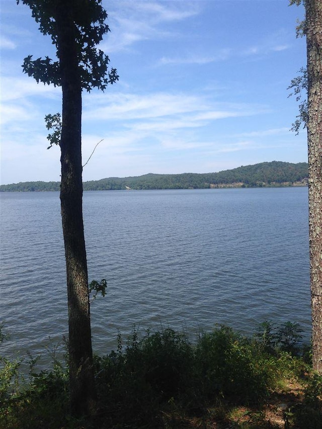 540 Buchanan Peninsula Drive, Pickwick Lake, AL 35616 - photo 8