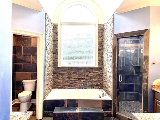 full bathroom with toilet, plus walk in shower, vanity, and tile walls