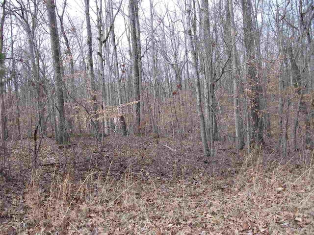 LOT22 Rainbow Lane, Counce, TN 38326 - photo 10