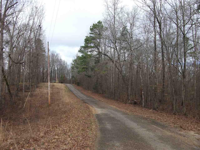 LOT22 Rainbow Lane, Counce, TN 38326 - photo 11