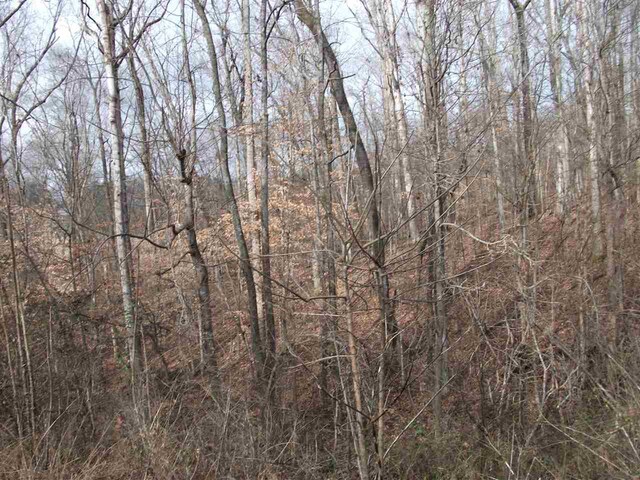 LOT22 Rainbow Lane, Counce, TN 38326 - photo 6