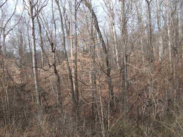LOT22 Rainbow Lane, Counce, TN 38326 - photo 7