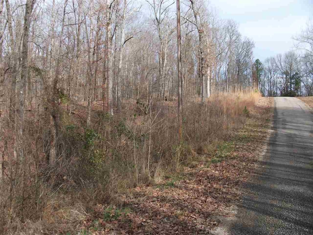 LOT22 Rainbow Lane, Counce, TN 38326 - photo 8