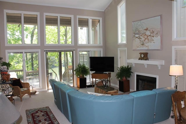 view of carpeted living room