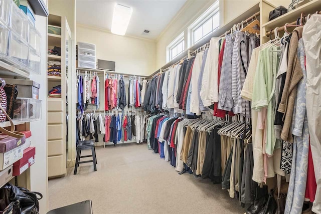 spacious closet with light colored carpet