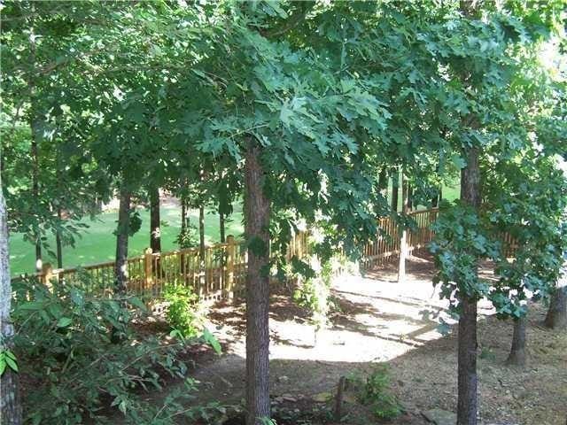 view of local wilderness