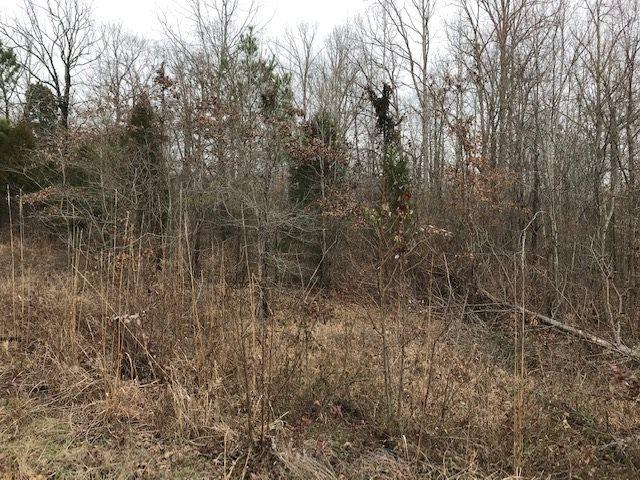 Kilgore Road, Toone, TN 38381