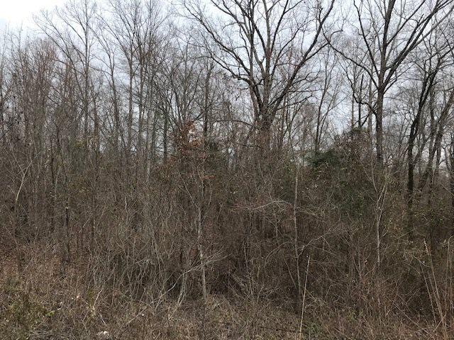 Kilgore Road, Toone, TN 38381