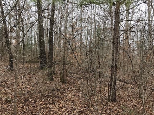 Kilgore Road, Toone, TN 38381
