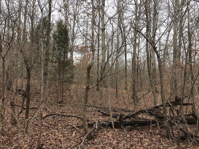 Kilgore Road, Toone, TN 38381