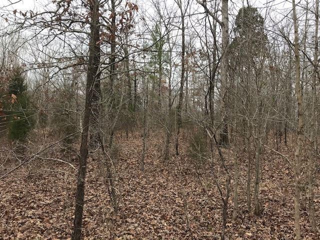 Kilgore Road, Toone, TN 38381