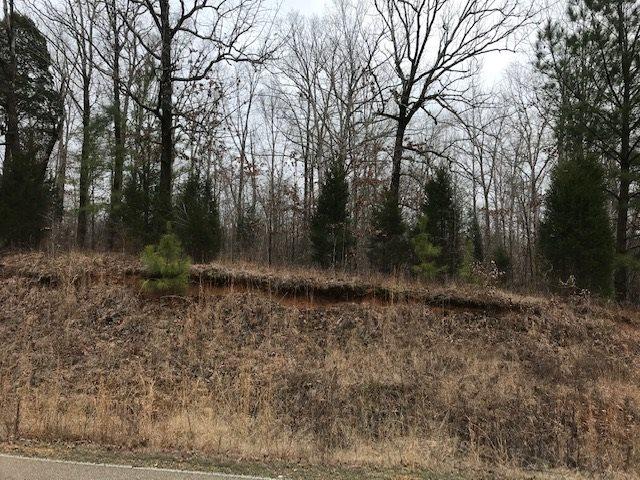 Kilgore Road, Toone, TN 38381