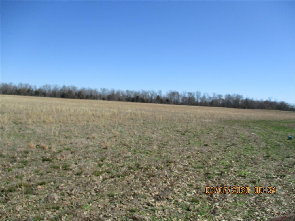 0 Oldham Way, Hickory Valley, TN 38042