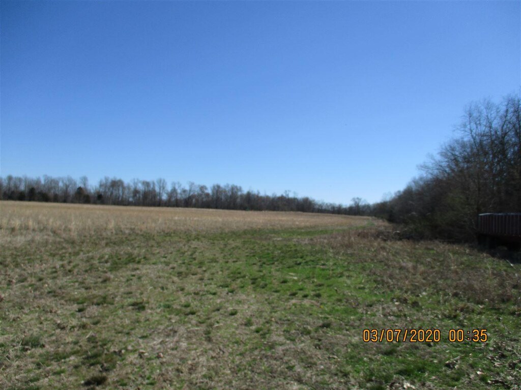 0 Oldham Way, Hickory Valley, TN 38042