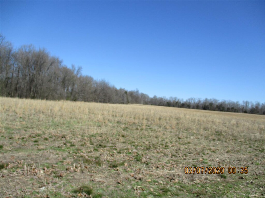 0 Oldham Way, Hickory Valley, TN 38042