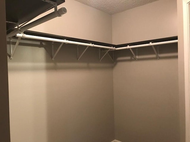 2103 Campground Road, Munford, TN 38058 - view of spacious closet