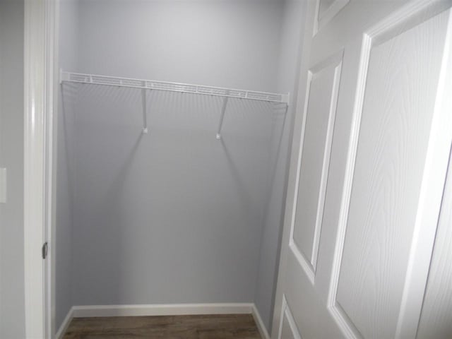 walk in closet with dark hardwood / wood-style flooring