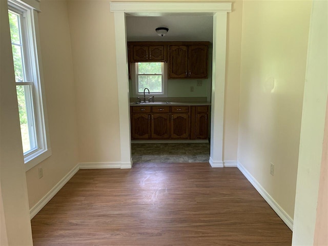 kitchen featuring dark hardwood / wood-style flooring and sink