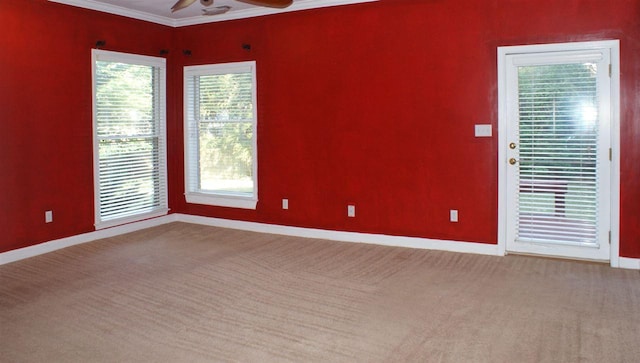 carpeted empty room with ceiling fan and crown molding