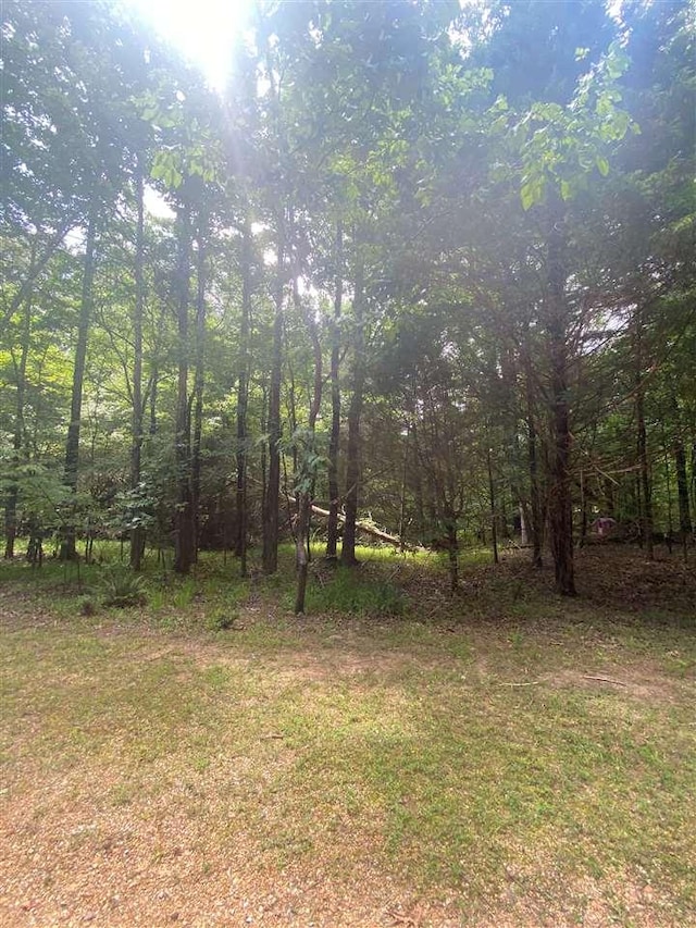 930 Fairway Circle, Saulsbury, TN 38067 - photo 2