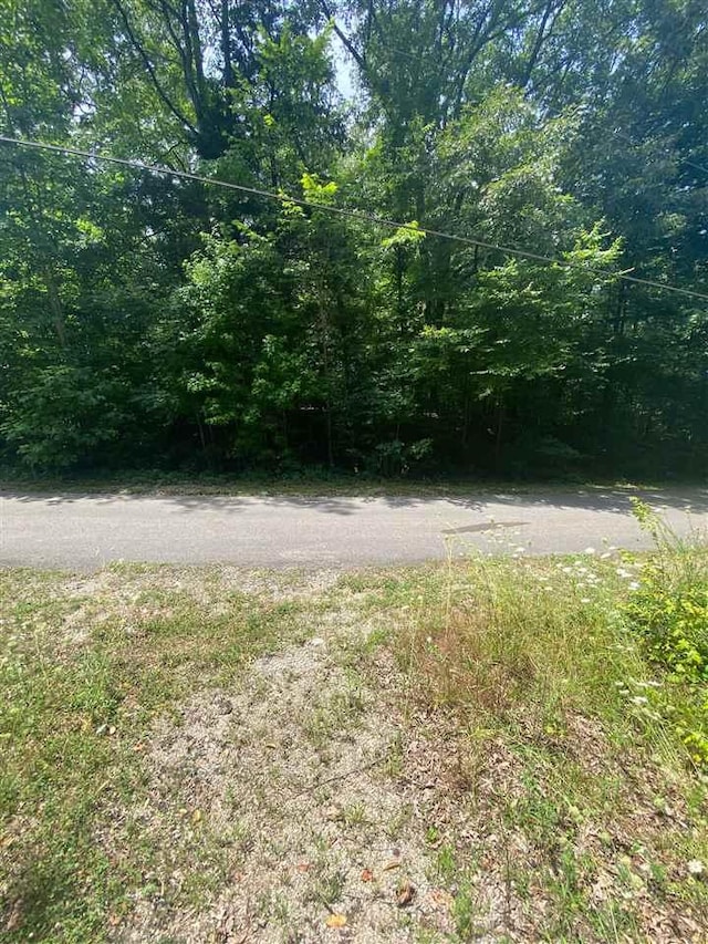1328 Indian Lane, Saulsbury, TN 38067 - photo 6