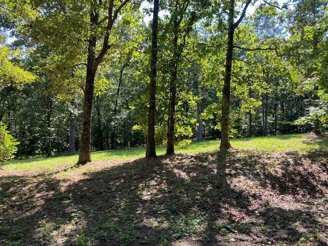 LOT40 Riverdale Road, Counce TN, 38326 land for sale