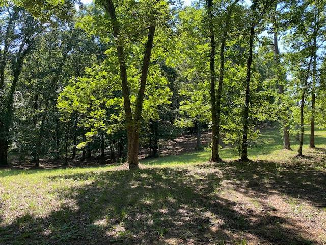 Listing photo 2 for LOT40 Riverdale Road, Counce TN 38326