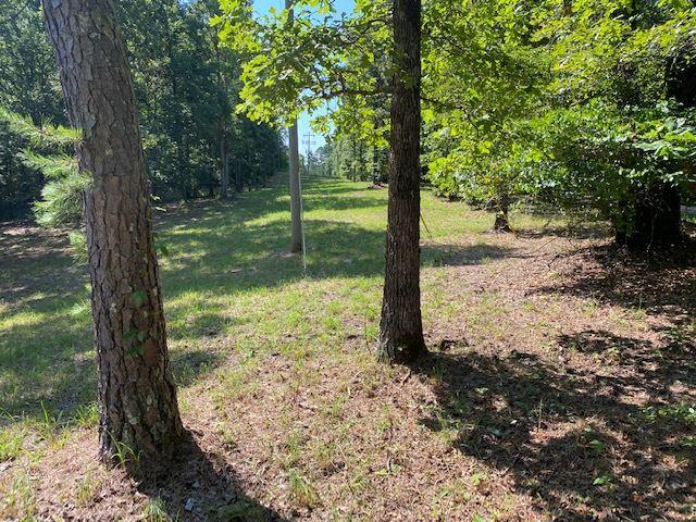 Listing photo 3 for LOT40 Riverdale Road, Counce TN 38326