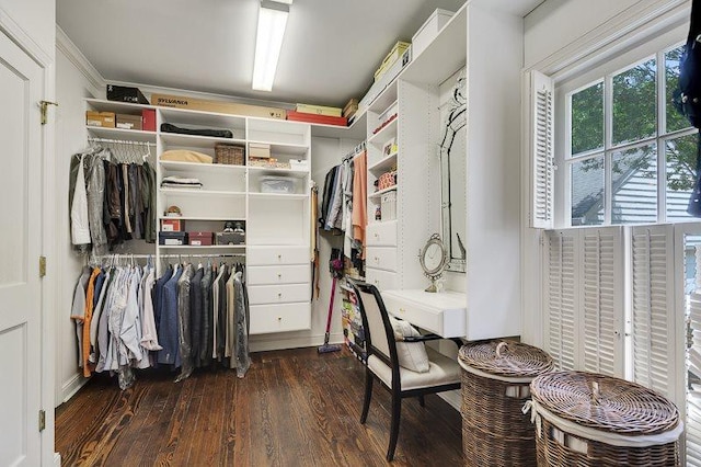 spacious closet featuring dark wood-type flooring