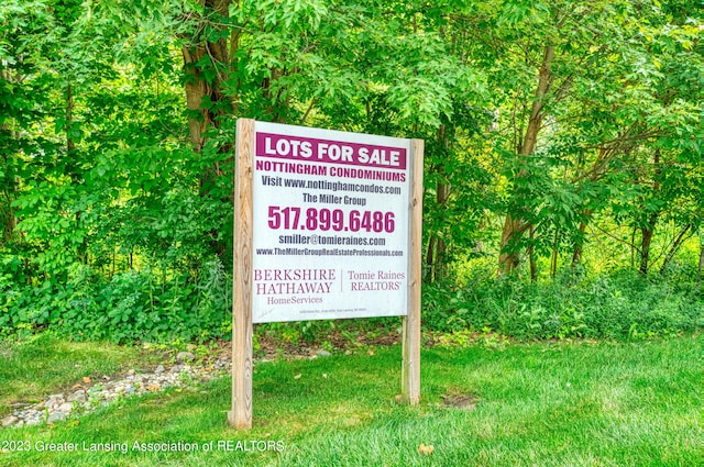 1546 Nottingham Forest Trl, Williamston, MI 48895 - photo 4