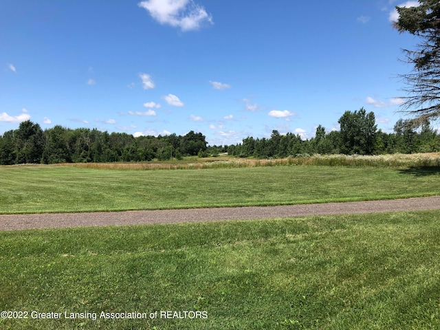 7837 W Grand Riv, Grand Ledge MI, 48837 land for sale