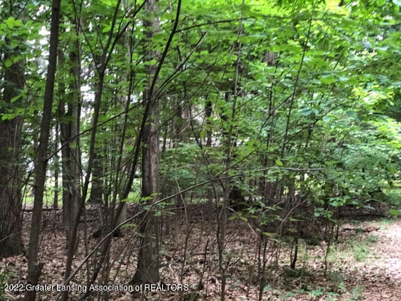 00 Driftwood Dr, Dewitt, MI 48820 - photo 2