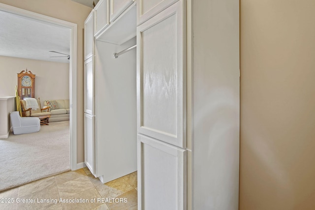 4246 Black Cherry Ln, Mason, MI 48854 - view of closet