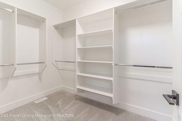 spacious closet featuring light colored carpet