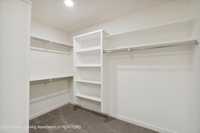 walk in closet with dark colored carpet